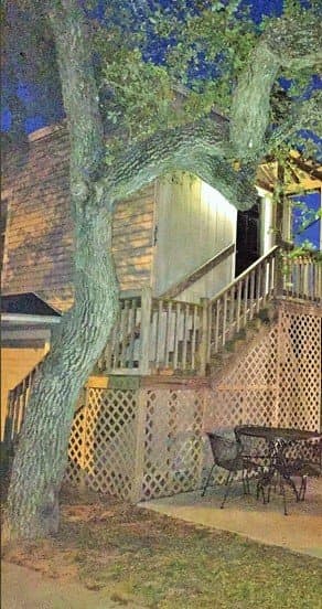 Furnished Two Bedroom One Bath Apartment with Garage, All Utilities Included